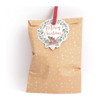 Sachet craft 17 x 11 cm  étoiles avec pinces et etiquettes - lot de 6 sachets