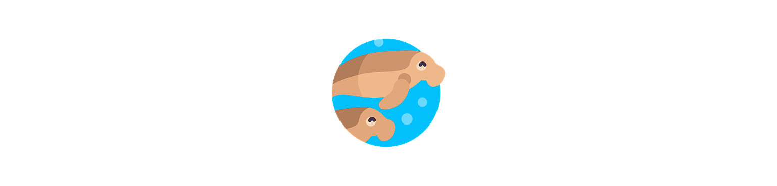 Animaux marins